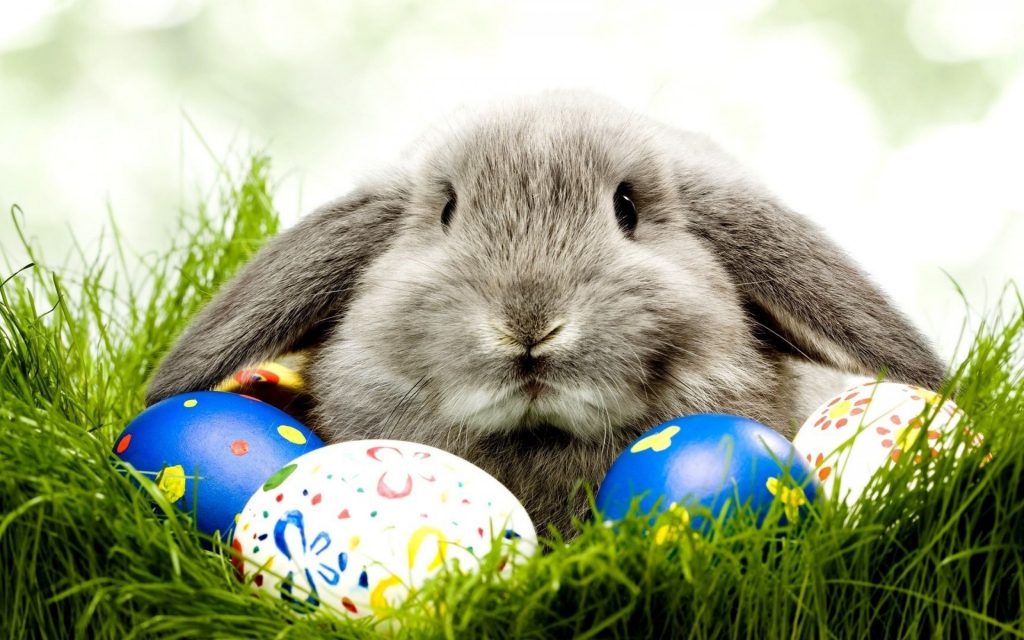 EPCS-Bunny-Eggs